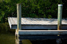 Side View Of Old Boat Dock, Weathered, With Barnacles And Overgrown Mangroves In Bonita Springs Florida.
