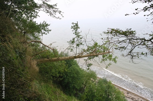 Kreis Nwm Haus Kaufen In Nordwestmecklenburg Kreis 2019 12 05