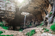 Balou Balaa waterfall (Baatara Gorge Waterfall), Tannourine, Lebanon, Middle East