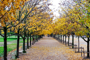 Europe, France, Paris , jardin des tuleries