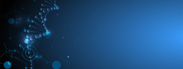 Science template, wallpaper or banner with a DNA molecules. Vector illustration.