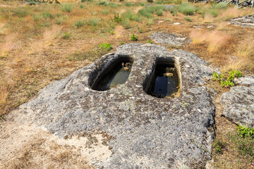 Graves of the Early Middle Ages Forcadas Necropolis