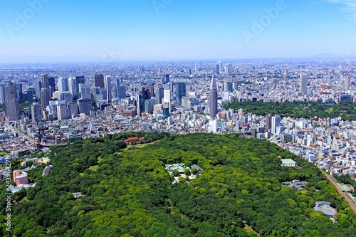 都市風景 代々木公園から新宿を望む Aerial View Stock Photo Adobe Stock