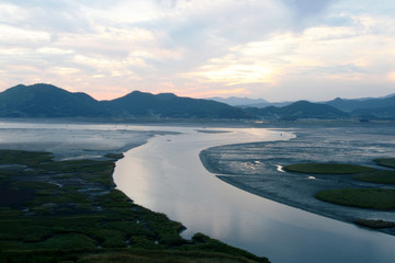 Wall Mural - Wetland