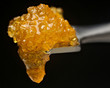 Cannabis concentrate sugar wax dripping off dabbing tool on black background