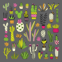 Succulents And Cacti Vector Set. Cute Home Plants Hand Drawn Collection. Green Botanical Elements And Flowers