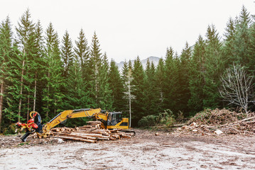 Sticker - Woodworking machine tractor harvester in the forest. Primary wood processing, pruning branches. Deforestation.