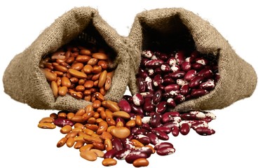 Poster - Spilled Sack of Red and Brown Beans - Isolated