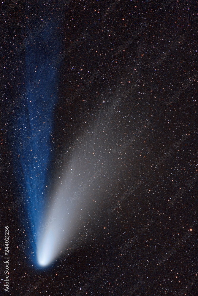 Cometa di Halley - obrazy, fototapety, plakaty 