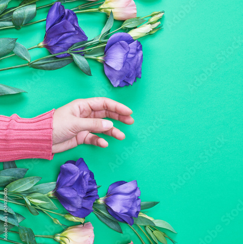 Fotografía female hand in a bright pink sweater on a green background