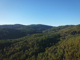 Wall Mural - Aerial view of a pine forest in a mountain. Sintra Portugal