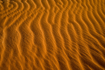  ナミブ砂漠の砂紋