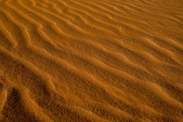  ナミブ砂漠の砂紋