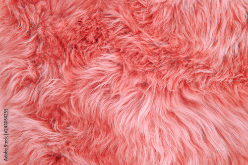 Photographie Coral sheepskin rug background sheep fur Wool texture