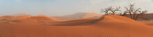 Picturesque Namib Desert Landscape, Panoramic Scene Of Huge Red Dunes  Against Blue Sky Near Famous Deadvlei. Typical Desert Environment, Wildlife Photography In Namib Naukluft National Park, Namibia.