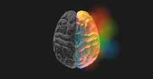 Low Poly Brain With Gray On Left And Colorful Or Right