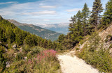 Fototapeta Sypialnia - Mountains of the Swiss Alps in the Saint Luc valley on a sunny day.