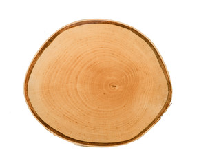 Wall Mural - cross section of tree trunk with annual growth rings isolated on white background