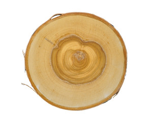 Wall Mural - cross section of tree trunk with annual growth rings isolated on white background