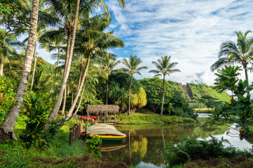 Wall Mural - Canoes and Kayaks on a river with palm trees and reflection. Wailua River, Kauai, Hawaii