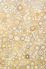 Wall Mural - Exotic texture pattern of bamboo cross section filled with hardening enamel