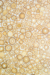 Wall Mural - Exotic texture pattern of bamboo cross section filled with hardening enamel
