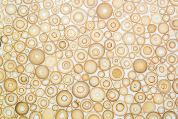 Wall Mural - Exotic texture pattern of bamboo cross section filled with hardening enamel