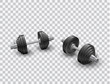 Beautiful realistic perspective view fitness vector of two black iron loadable dumbbells on transparent background.