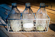 3 old milk bottles in a old wire basket