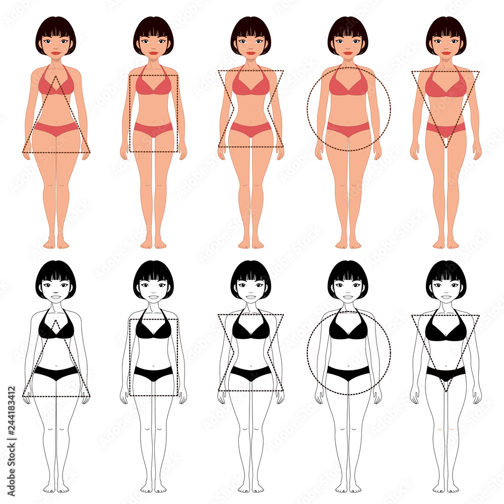 set of five different types of female body shapes, different types of  beautiful woman Stock Vector | Adobe Stock, image size:1000x1000