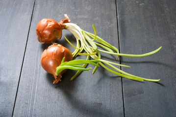 Wall Mural - Red onions