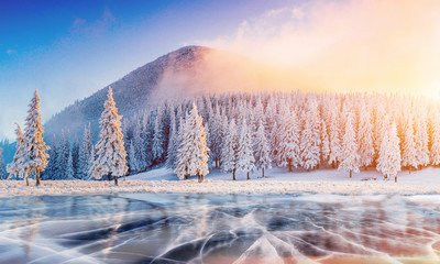 Cracks on the surface of the blue ice. Frozen lake in winter mountains. It is snowing. The hills of pines. Carpathian Ukraine Europe