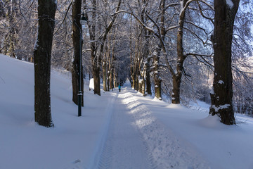  Winter road stretches into the distance and the snow-covered forest