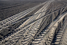 Tractor Tire Tracks Prints On Beach Sand