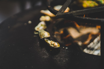 cooking on an open fire. mussels B-B-Q