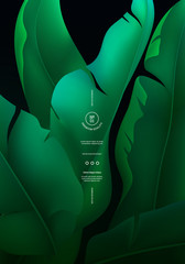 Fototapete - Vector Tropical Banner with Banana Tree Leaves. Minimalist Jungle Bg. Exotic Background with Palm Leaves