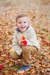 happy cute little boy in autumn park among fallen leaves