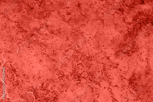 Living Coral Background On The Theme Of The Color Of The Year 2019