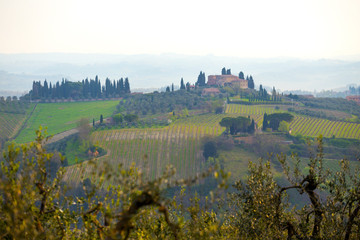 Wall Mural - Typical Tuscan landscape