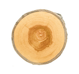 Wall Mural - cross section of tree trunk with annual growth rings isolated on white background