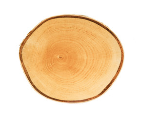 Wall Mural - cross section of tree trunk with annual growth rings isolated on white background