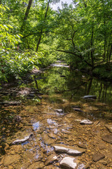 Wall Mural - Beavers Bend State Park