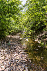 Wall Mural - Beavers Bend State Park