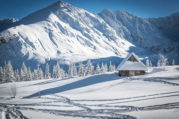 Hala Gasienicowa - Tatry, zima 01.2019