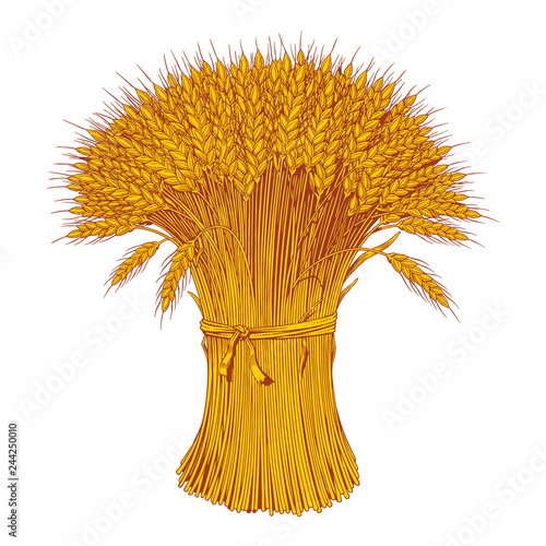 My Image 48