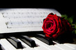 a red rose on the piano keys