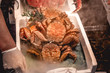Huge fresh sea king crab sold on the Tsukiji fish market in Tokyo Japan