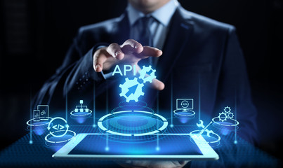 Wall Mural - api application programming interface development technology concept.