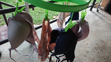 woman bra on the clothesline after washing at home.