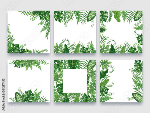 Download Exotic leaves frame. Tropical leaf border, nature summer ...